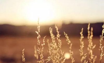 50條適合發(fā)到朋友圈的英語勵志名言