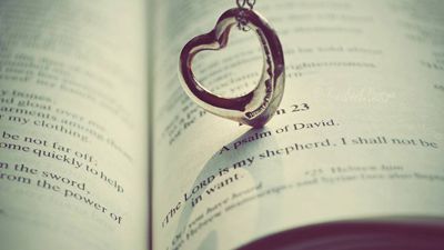 78句優(yōu)雅的愛情英語名言