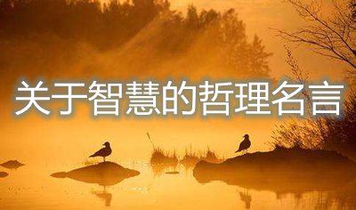 關(guān)于智慧的哲理名言