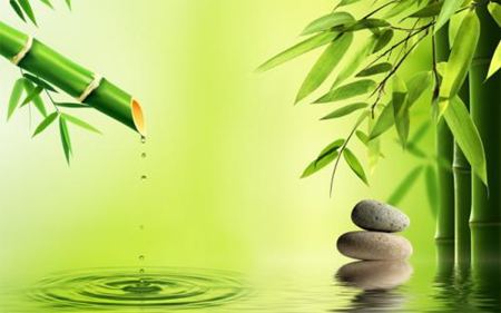 為什么竹子中間是空心的呢？