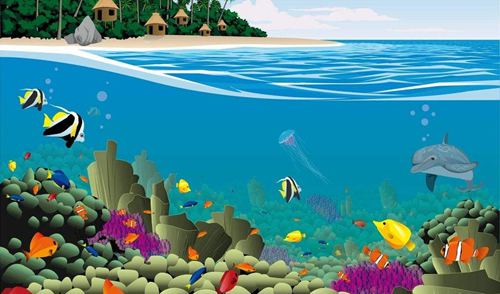 魚為什么能在水里游？