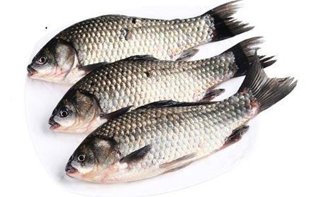 魚身上的黏液有什么作用？怎么去除？