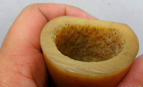 為什么動(dòng)物的骨骼是拱形的