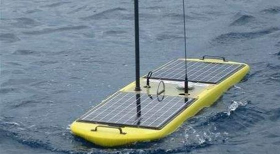 為什么水母可以預(yù)測(cè)風(fēng)暴