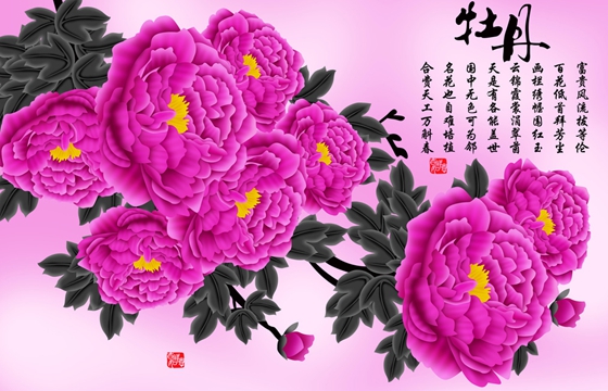 為什么牡丹被稱為花中之王？