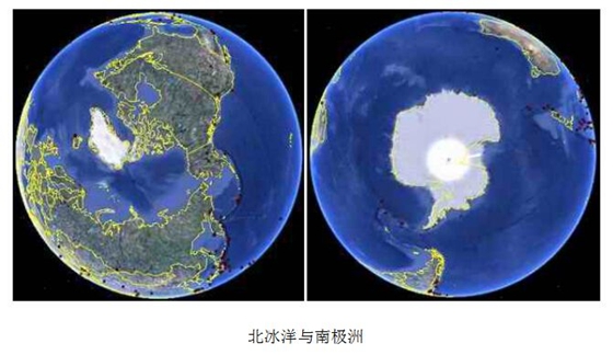 南極和北極有植物嗎？
