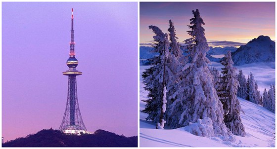 植物給人類哪些啟示,為什么說植物是天然設(shè)計師