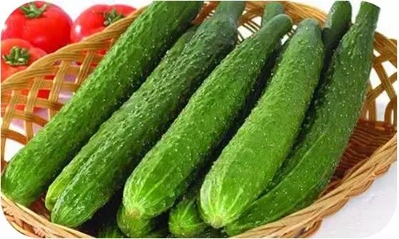 為什么有的黃瓜發(fā)苦,黃瓜苦是怎么回事