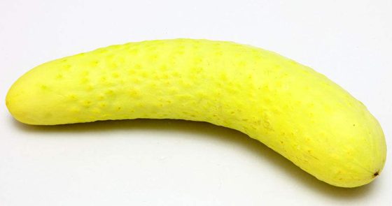 為什么有的黃瓜發(fā)苦,黃瓜苦是怎么回事