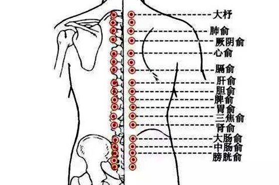 背部穴位圖