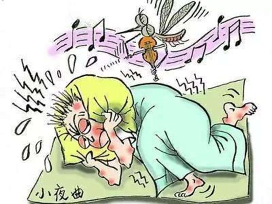 人為什么會(huì)感覺(jué)癢,為什么癢的時(shí)候要撓