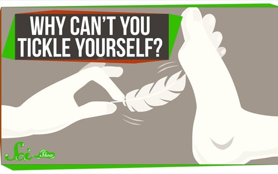 人為什么會(huì)感覺(jué)癢,為什么癢的時(shí)候要撓