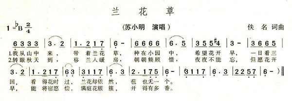 為什么灑水車一直播放蘭花草這首歌