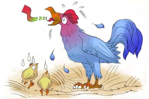 公雞為什么打鳴,怎樣讓公雞不打鳴