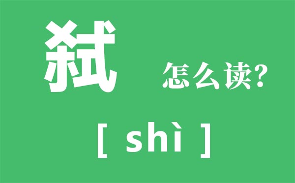 弒怎么讀音,殺式念什么,弒是什么意思