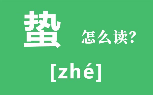 蟄怎么讀,蟄的讀音,蟄和蜇的區(qū)別