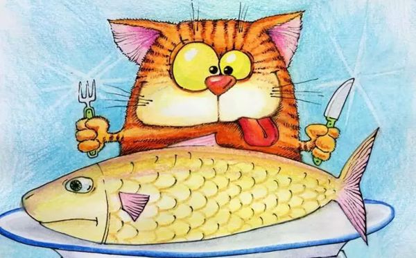 為什么貓喜歡吃魚,貓愛(ài)吃魚是什么原因