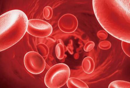 為什么白細(xì)胞被稱為人體衛(wèi)士