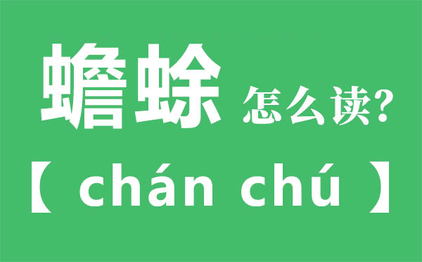 蟾蜍怎么讀,蟾蜍念什么,蟾蜍的拼音