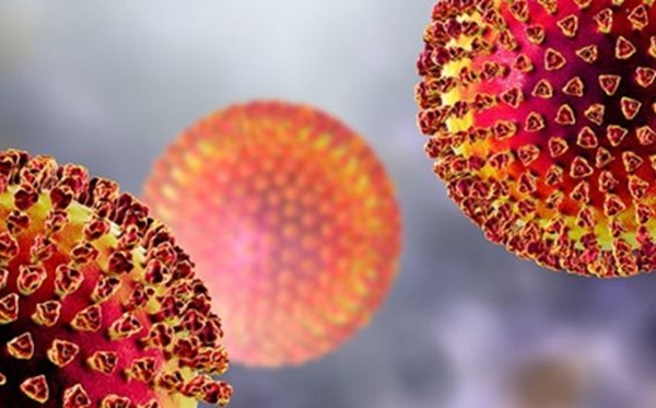 世衛(wèi)組織宣布全球大流行是什么意思,疫情全球大流行的后果是什么