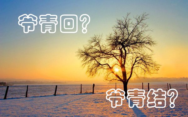 爺青回和爺青結(jié)是什么意思,爺青回和爺青結(jié)的區(qū)別