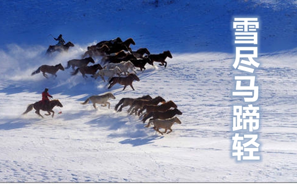 螞蟻莊園12月31日答案最新,小雞莊園今天答案12.31,支付寶小雞課堂今日答題