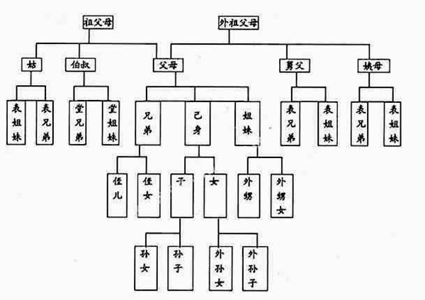 螞蟻莊園今日答案最新2.9