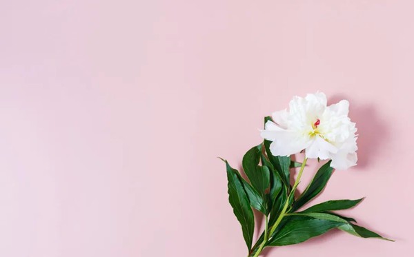 讓人大徹大悟受用一生的勵(lì)志語錄50句