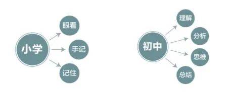 新初一暑假學(xué)習(xí)計劃表,新初一暑假應(yīng)該怎么安排