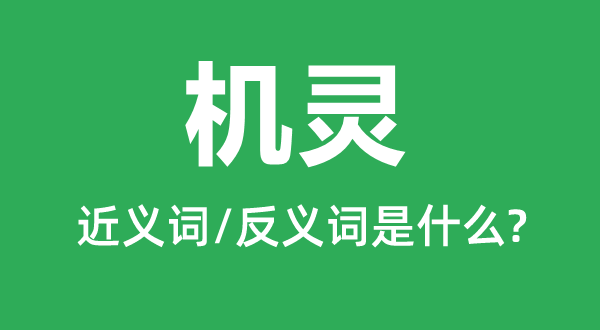 機(jī)靈的近義詞和反義詞是什么,機(jī)靈是什么意思