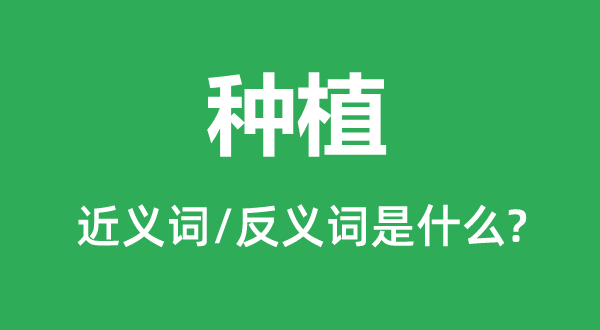 種植的近義詞和反義詞是什么,種植是什么意思