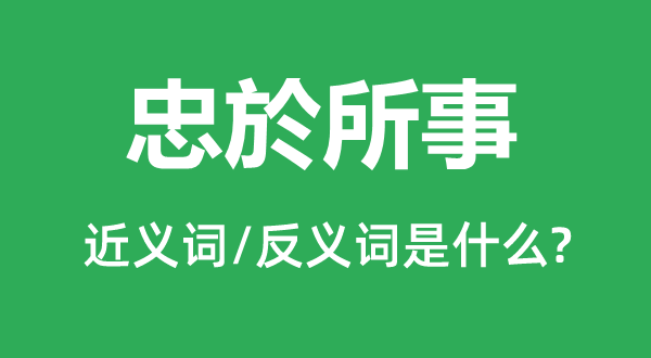 忠於所事的近義詞和反義詞是什么,忠於所事是什么意思