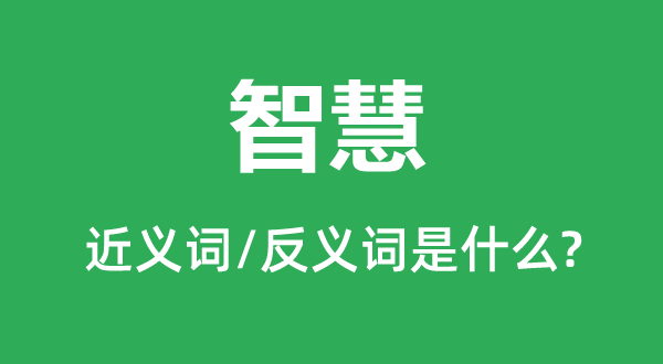智慧的近義詞和反義詞是什么,智慧是什么意思