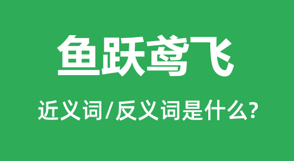魚躍鳶飛的近義詞和反義詞是什么,魚躍鳶飛是什么意思