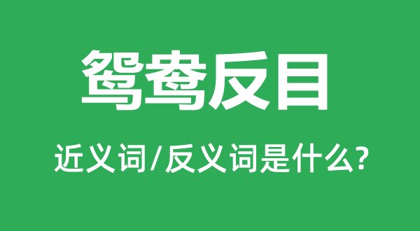 鴛鴦反目的近義詞和反義詞是什么,鴛鴦反目是什么意思