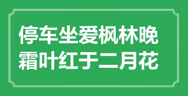 “停車坐愛楓林晚，霜葉紅于二月花”是什么意思,出處是哪里