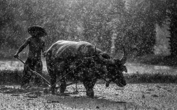 勞動(dòng)節(jié)是幾月幾日,五一勞動(dòng)節(jié)的來(lái)歷和意義