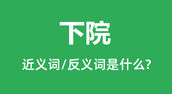 下院的近義詞和反義詞是什么,下院是什么意思