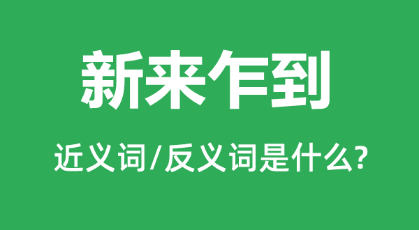 新來乍到的近義詞和反義詞是什么,新來乍到是什么意思