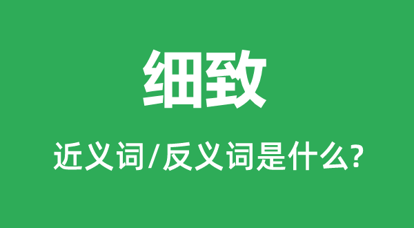 細(xì)致的近義詞和反義詞是什么,細(xì)致是什么意思