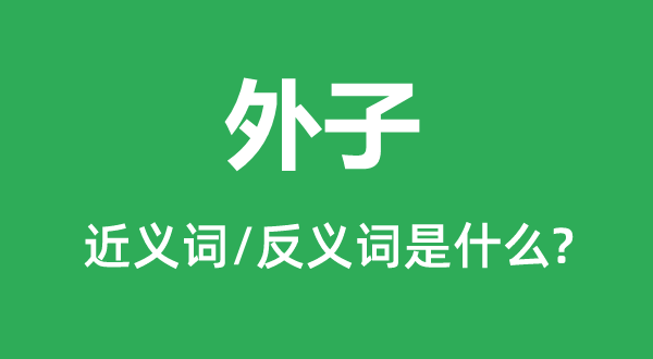 外子的近義詞和反義詞是什么,外子是什么意思