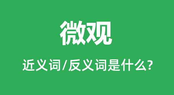 微觀的近義詞和反義詞是什么,微觀是什么意思