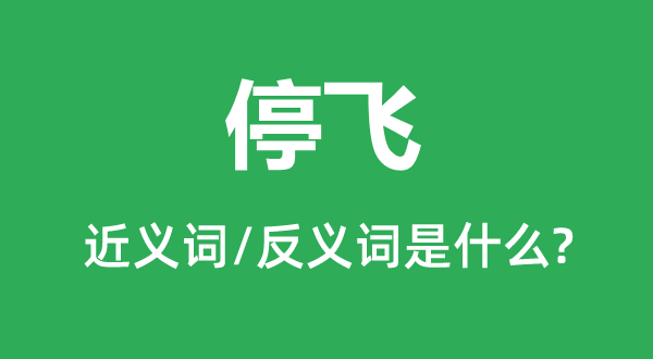 停飛的近義詞和反義詞是什么,停飛是什么意思