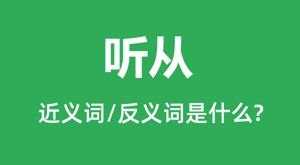 聽從的近義詞和反義詞是什么,聽從是什么意思
