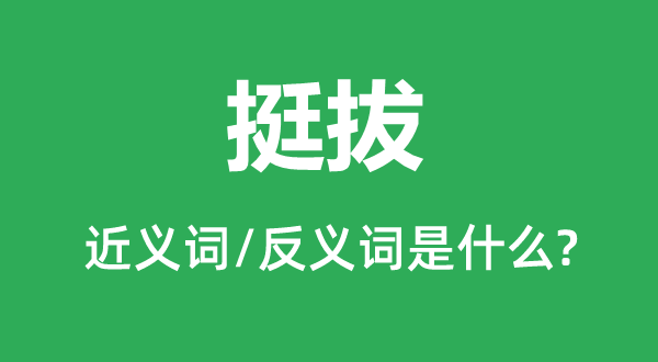 挺拔的近義詞和反義詞是什么,挺拔是什么意思