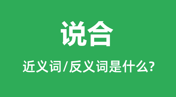 說(shuō)合的近義詞和反義詞是什么,說(shuō)合是什么意思