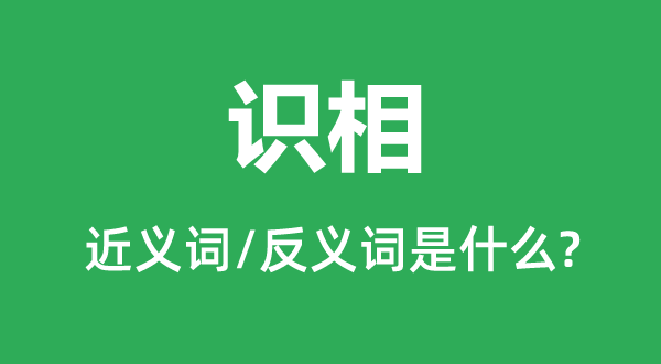 識相的近義詞和反義詞是什么,識相是什么意思