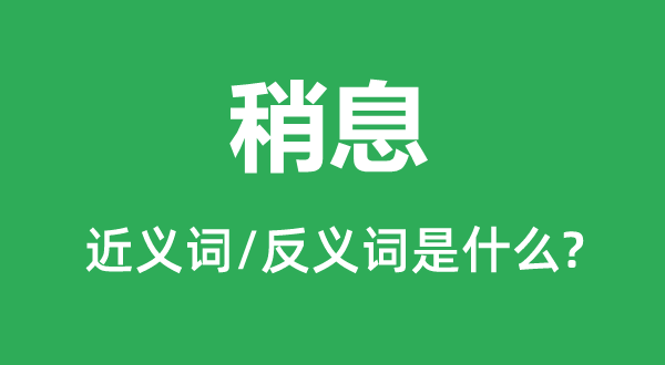 稍息的近義詞和反義詞是什么,稍息是什么意思