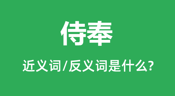 侍奉的近義詞和反義詞是什么,侍奉是什么意思