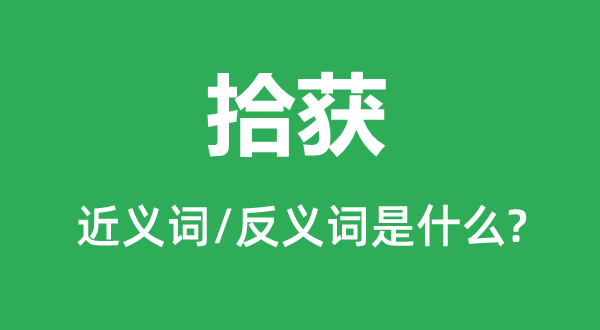 拾獲的近義詞和反義詞是什么,拾獲是什么意思